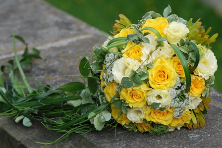 Fotolia_16844117_Subscription_XL