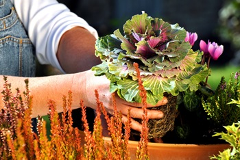 Fotolia_36334312_ Stefan Körber