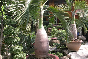 Fotolia_3659069_ Hii Bo Teck