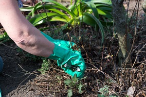 Fotolia_63503618_U. Gernhoefer