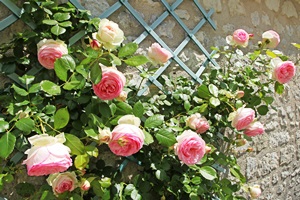 Fotolia_84105980_tsach