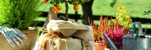 Fotolia_36945357_Subscription_XL